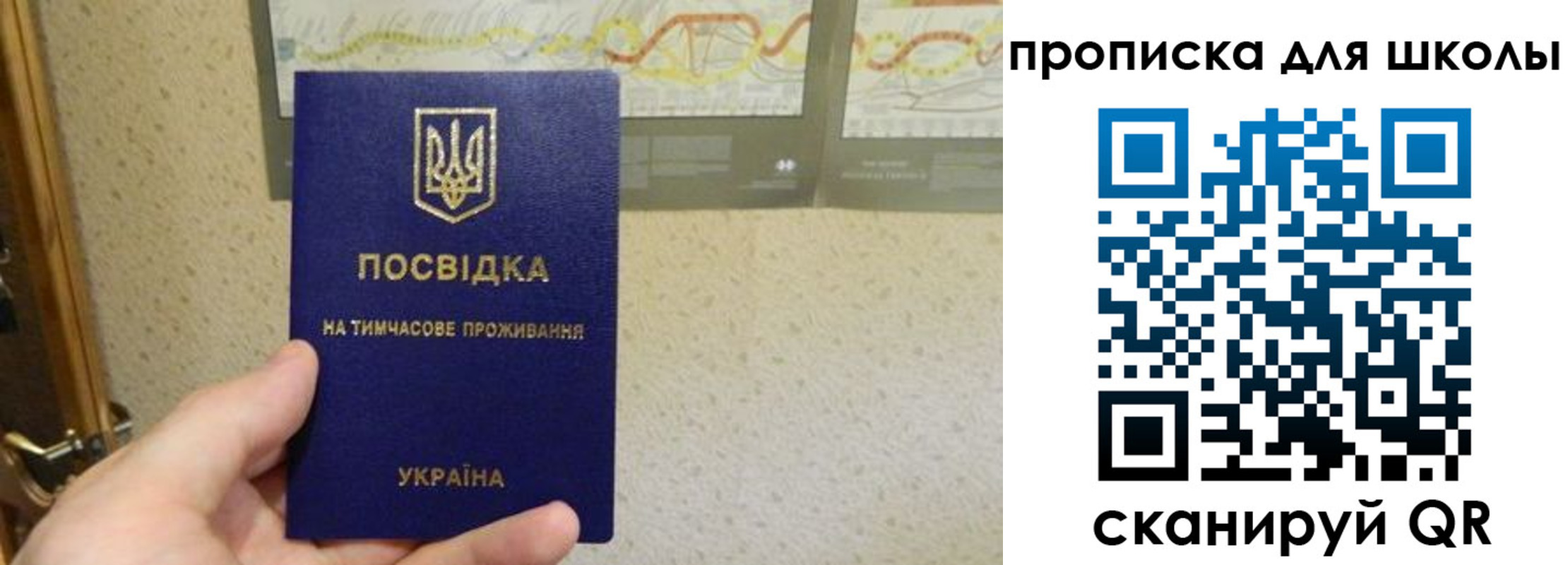 найти адрес прописки в Балее